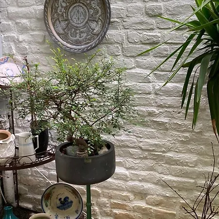 Et Caetera D'hotes Bed and breakfast