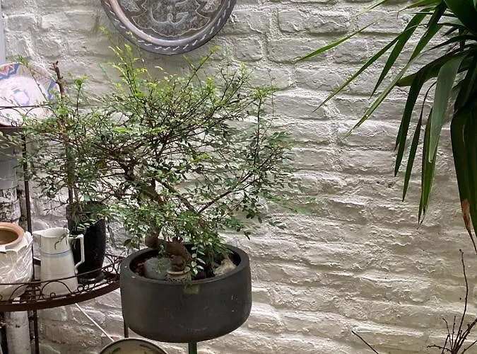 Et Caetera D'hôtes Couette-café