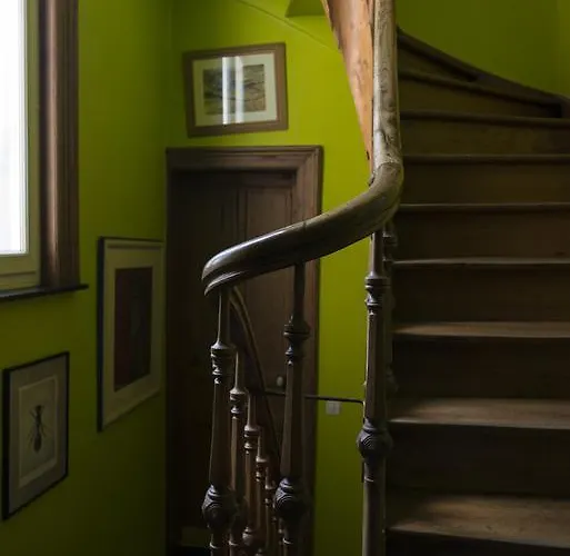 Couette-café Et Caetera D'hôtes Roubaix